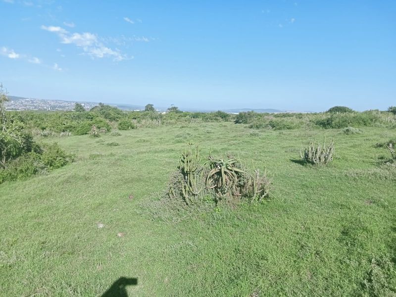 A wide-angle view of an expansive, undeveloped residential plot featuring natural grassland and indigenous vegetation under a clear blue sky.