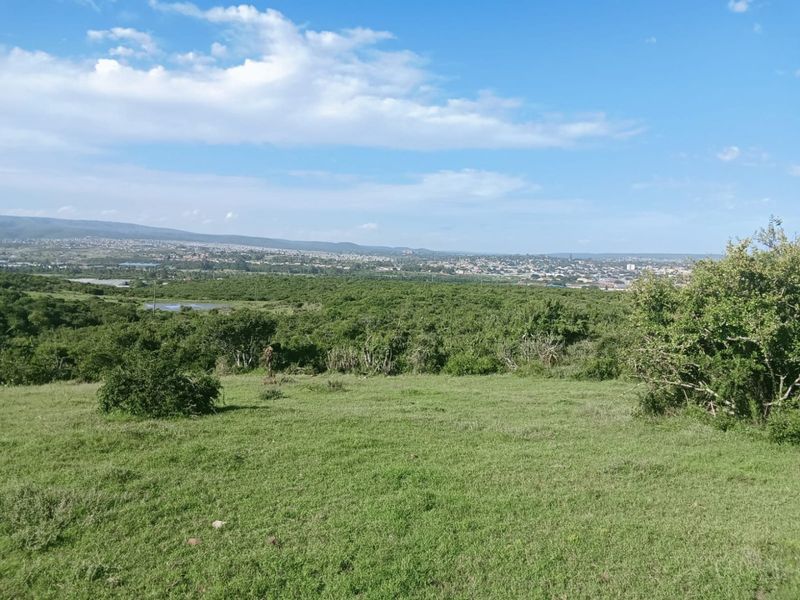 A scenic, elevated view overlooking a vast expanse of natural green landscape with a distant town visible on the horizon.