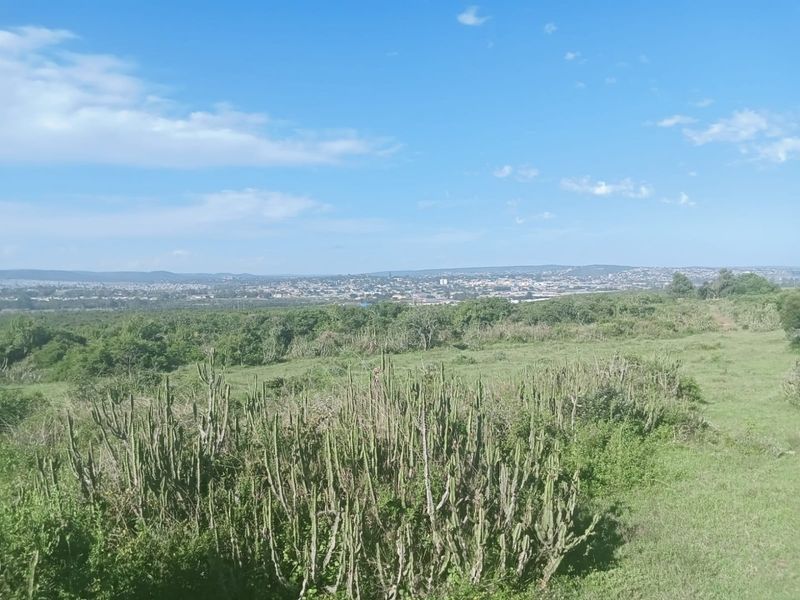 A wide-angle view of the vacant residential land featuring natural vegetation and distant urban landscape under a clear blue sky.