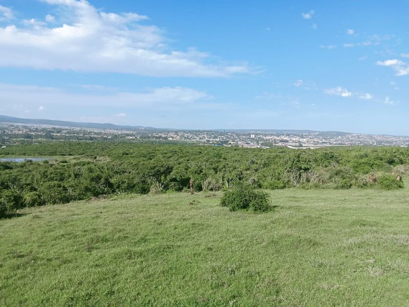 A wide-angle view of the vacant residential land, showcasing the natural landscape and surrounding neighborhood in the distance.