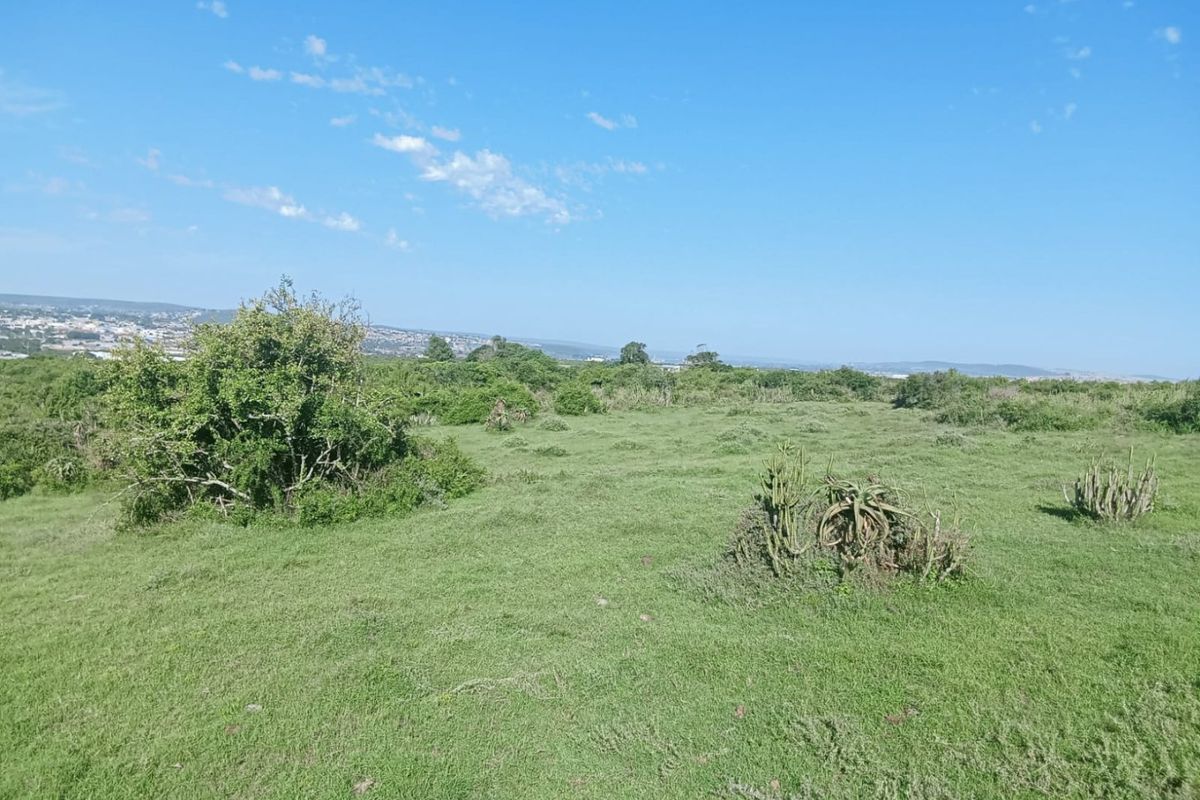 A wide-angle view of the vacant residential land featuring natural vegetation and open grassy terrain under a clear blue sky.