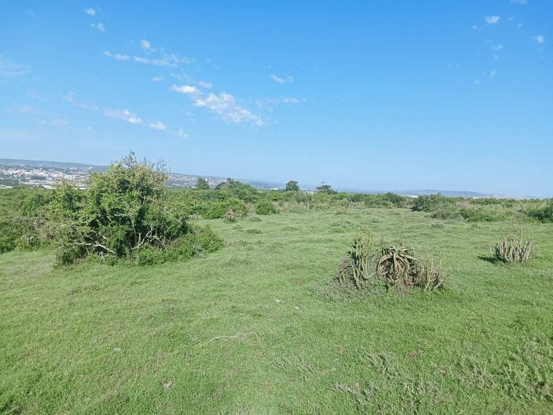 A wide-angle view of the vacant residential land featuring natural vegetation and open grassy terrain under a clear blue sky.
