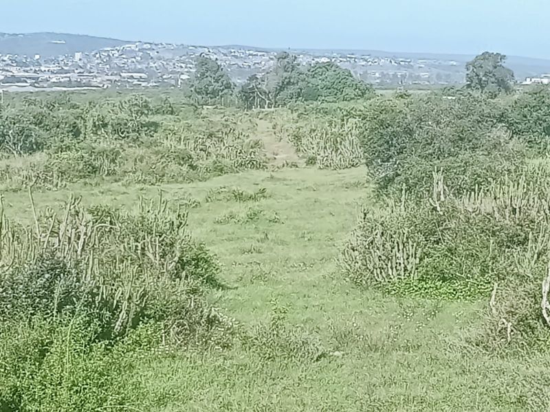 A view of a vacant residential plot featuring natural vegetation and native shrubs with distant urban landscape views.