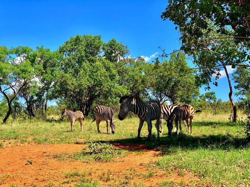 Verloren Erf with breathtaking view - Photo 10