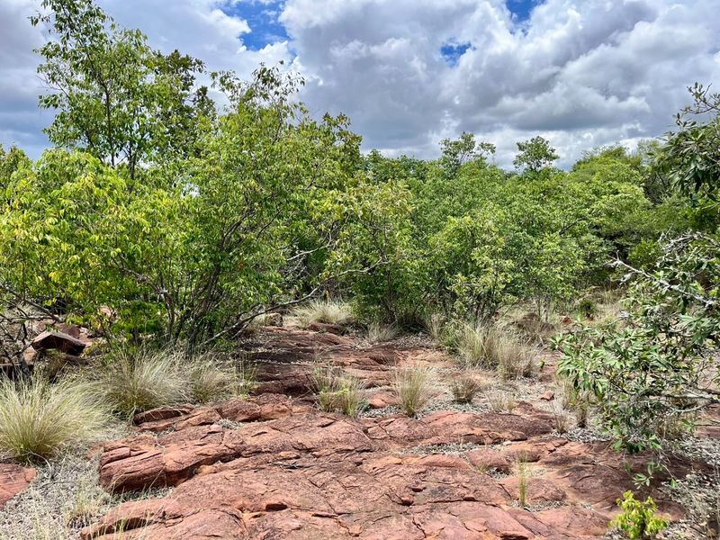 Verloren Erf with breathtaking view - Photo 8