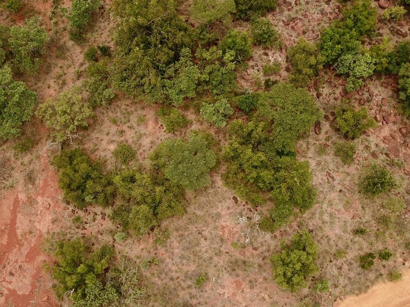 Verloren Erf with breathtaking view - Photo 9