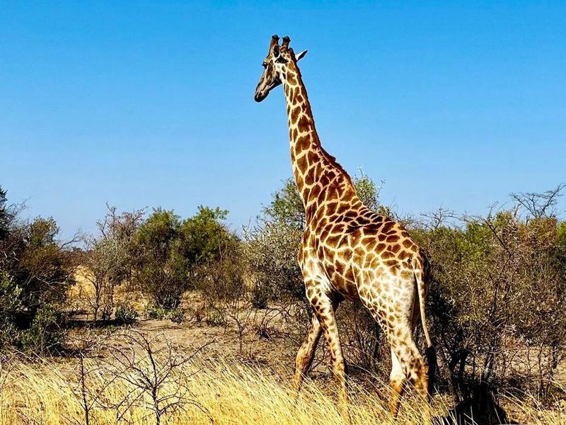 Verloren Erf with breathtaking view - Photo 6