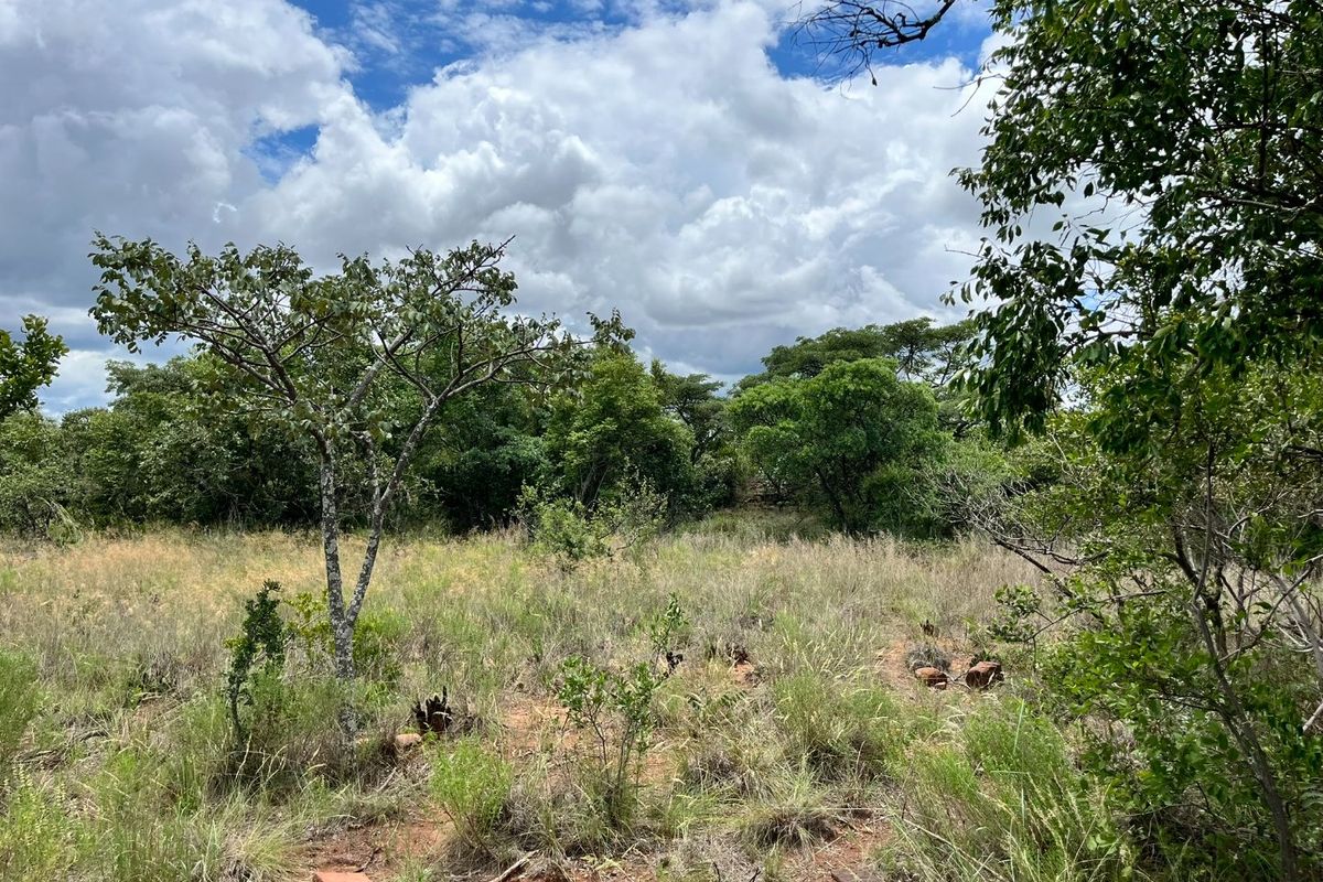 Verloren Erf with breathtaking view - Photo 5