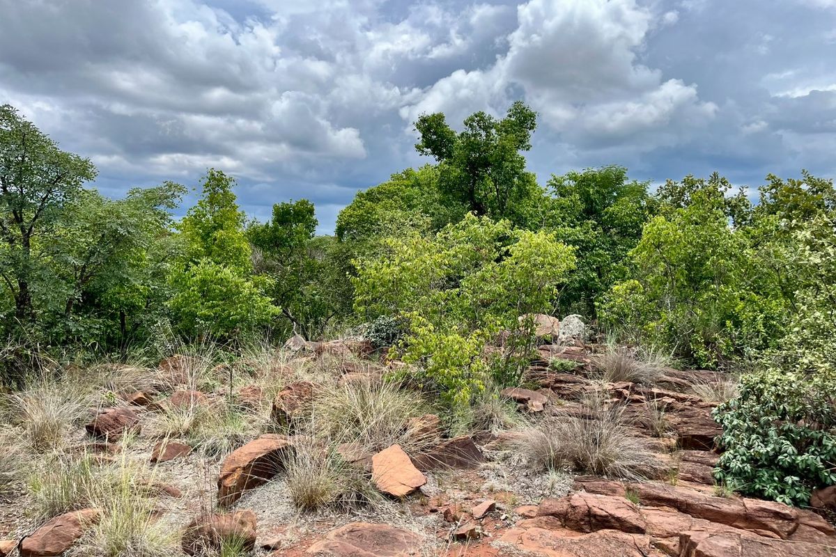 Verloren Erf with breathtaking view - Photo 2