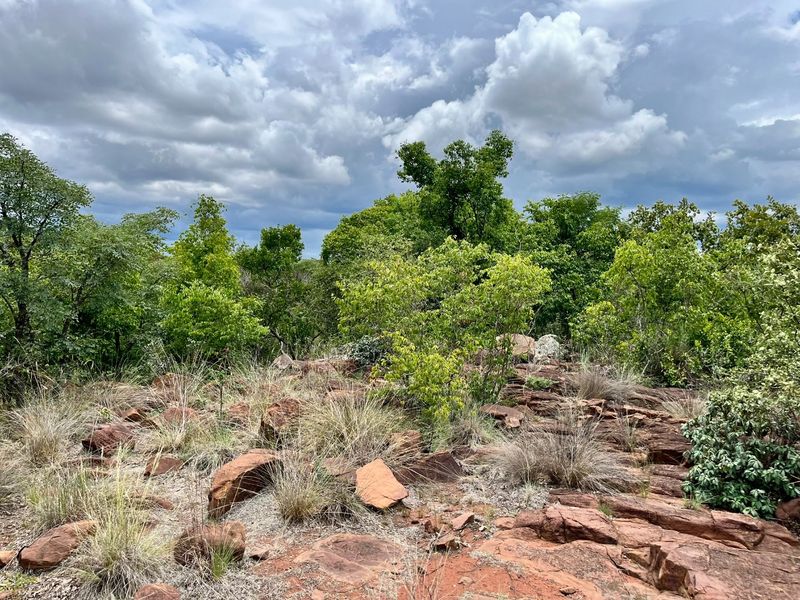 Verloren Erf with breathtaking view - Photo 2