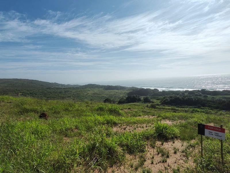 A scenic view of a vacant residential plot featuring natural coastal vegetation and an expansive ocean outlook.
