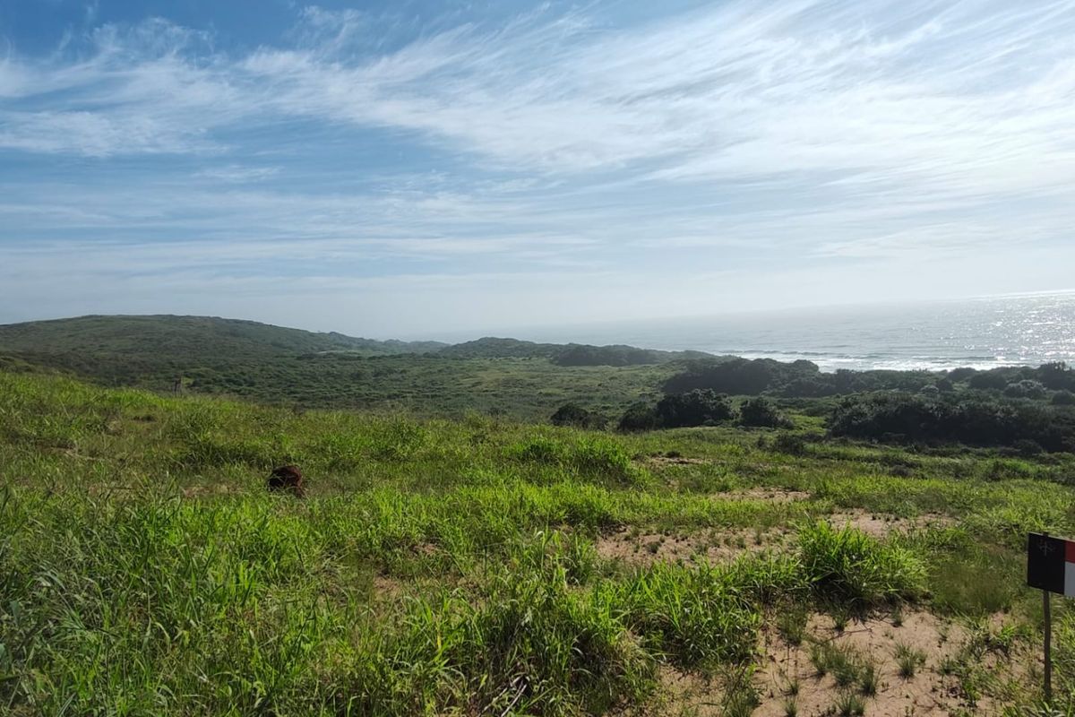 A scenic view of the coastal landscape and natural vegetation, showcasing the expansive outdoor environment of the vacant residential land.