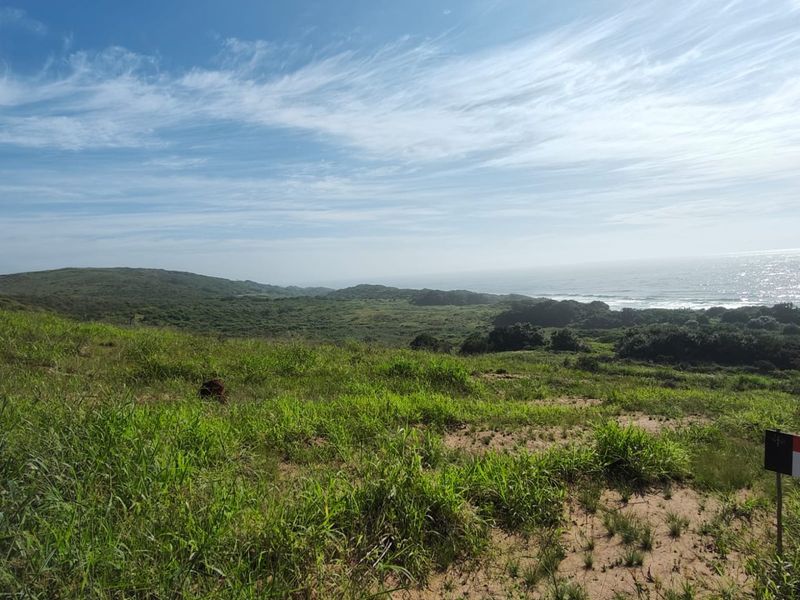 A scenic view of the coastal landscape and natural vegetation, showcasing the expansive outdoor environment of the vacant residential land.