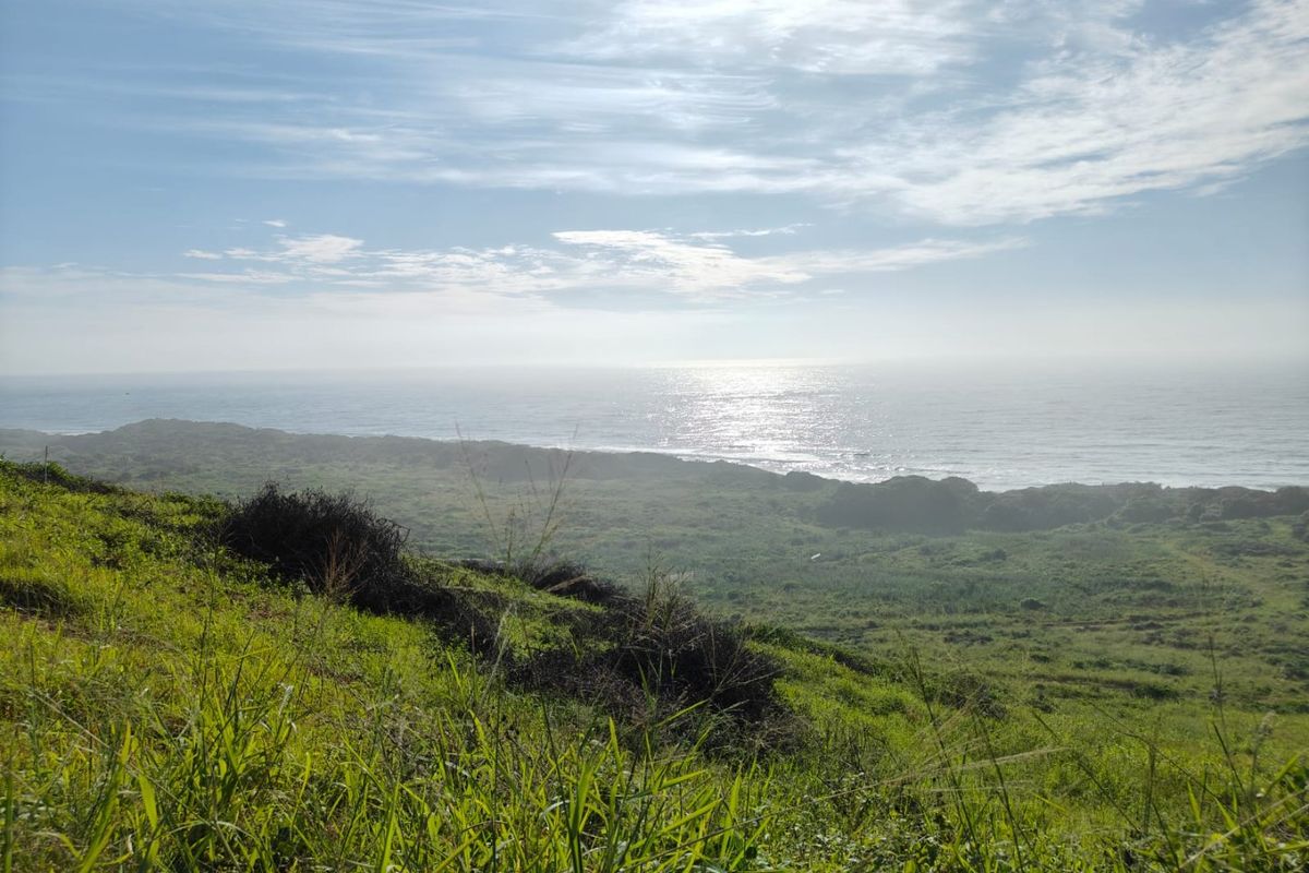 Seaton Estate: Exclusive Coastal Living on the KZN North Coast - Photo 4