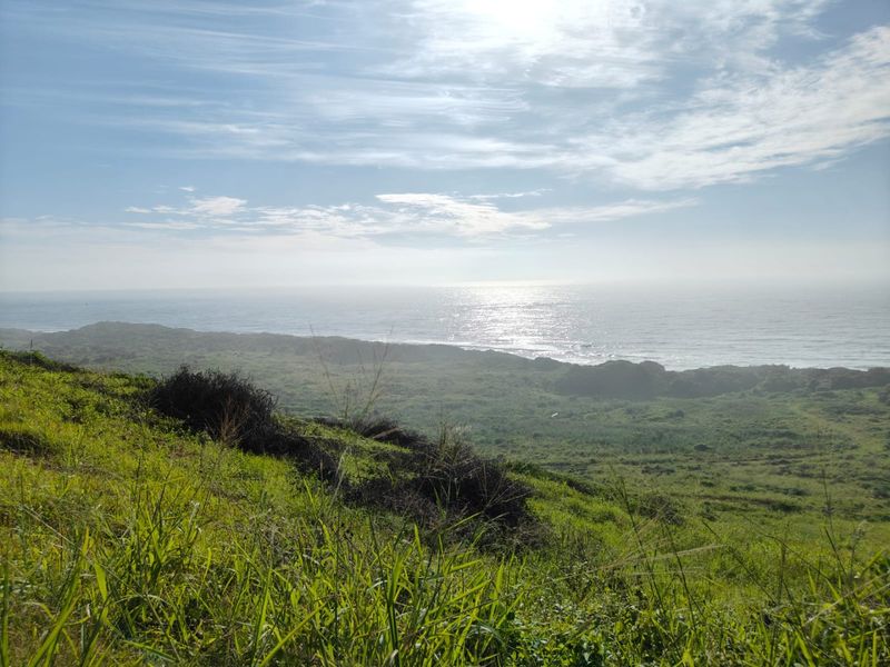 Seaton Estate: Exclusive Coastal Living on the KZN North Coast - Photo 4