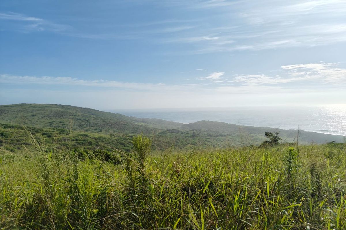 Seaton Estate: Exclusive Coastal Living on the KZN North Coast - Photo 4