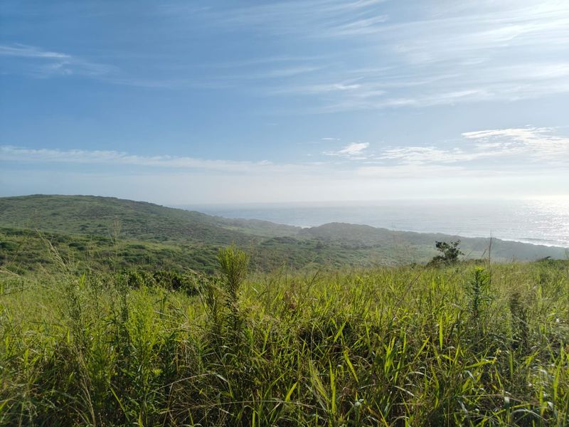 Seaton Estate: Exclusive Coastal Living on the KZN North Coast - Photo 4