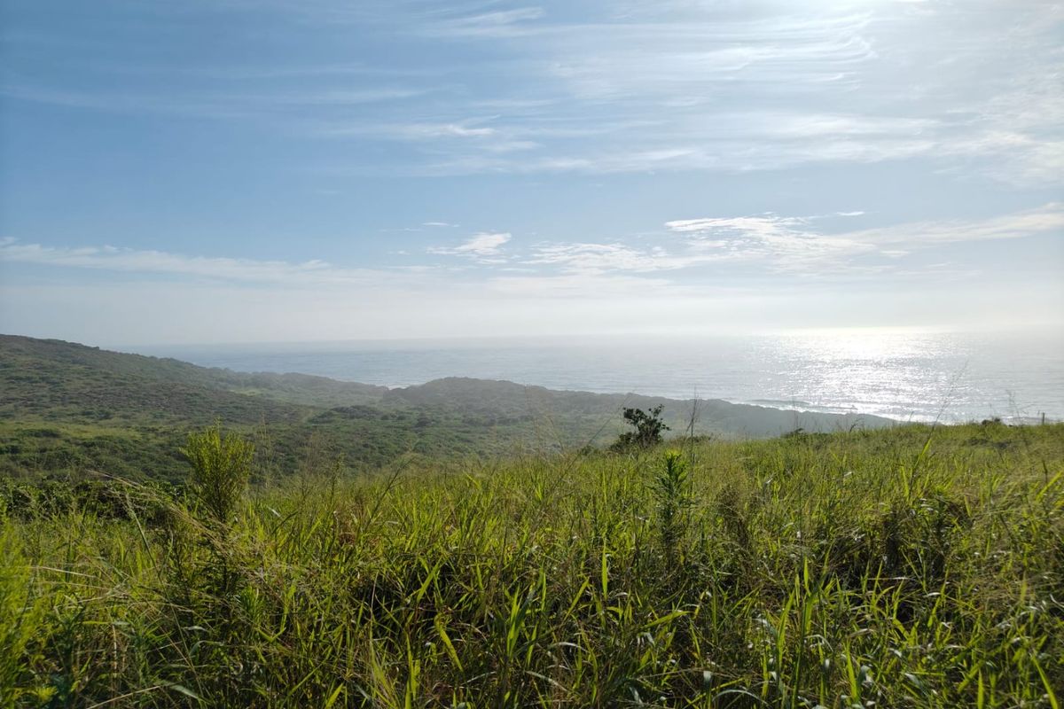 Seaton Estate: Exclusive Coastal Living on the KZN North Coast - Photo 2