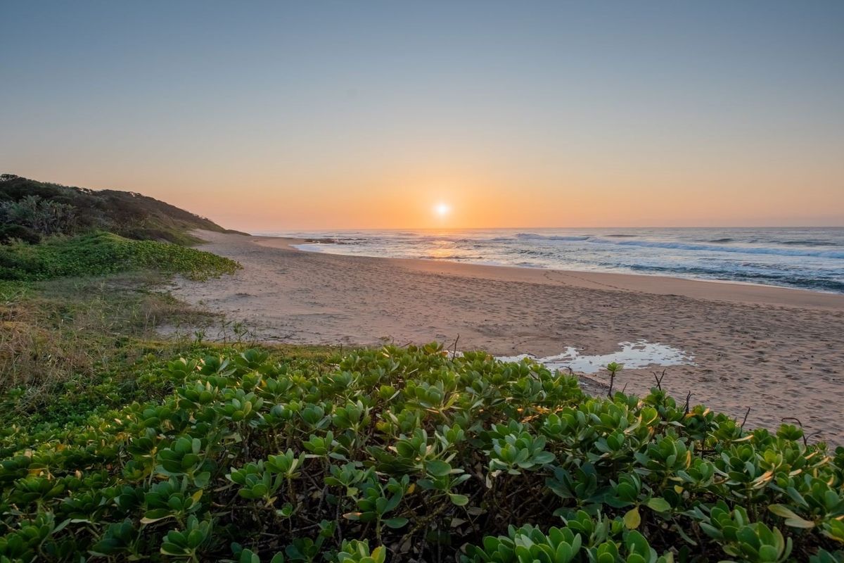 A scenic view of the coastline featuring sandy beach, ocean waves, and natural dune vegetation at sunrise.