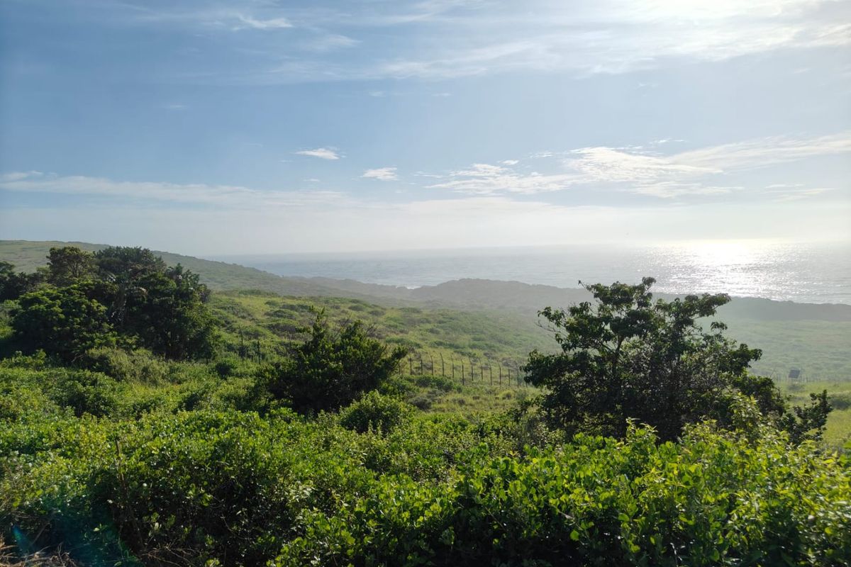 A scenic view of the coastal landscape featuring natural vegetation and distant ocean horizon, showcasing the property's expansive outdoor setting.