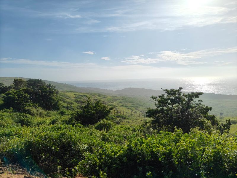 A scenic view of the coastal landscape featuring natural vegetation and distant ocean horizon, showcasing the property's expansive outdoor setting.
