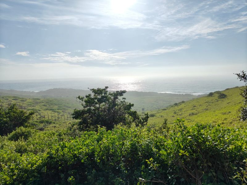 A scenic view of the coastal landscape and ocean horizon from the vacant residential property.