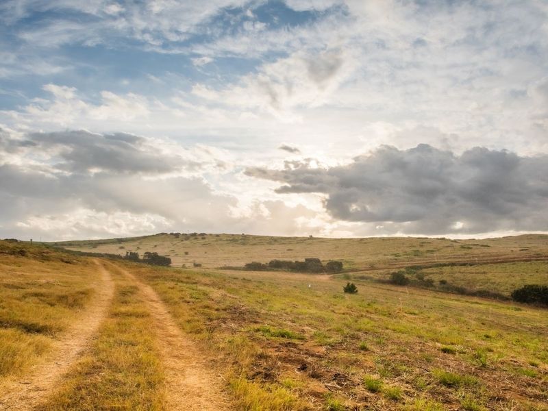 A wide-angle view of expansive, undeveloped residential land featuring rolling hills and a natural dirt track under a cloudy sky.