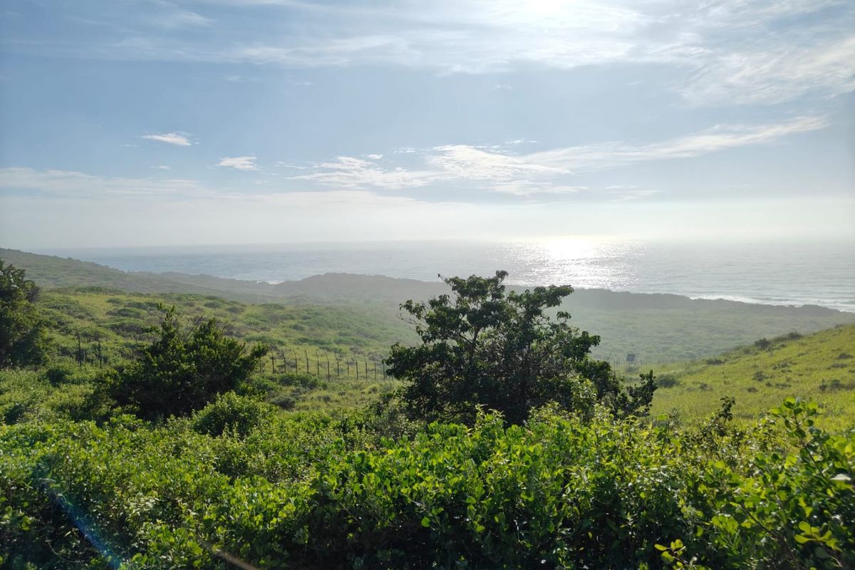 A scenic view of the coastal landscape featuring natural vegetation and ocean horizon, showcasing the property's natural surroundings.