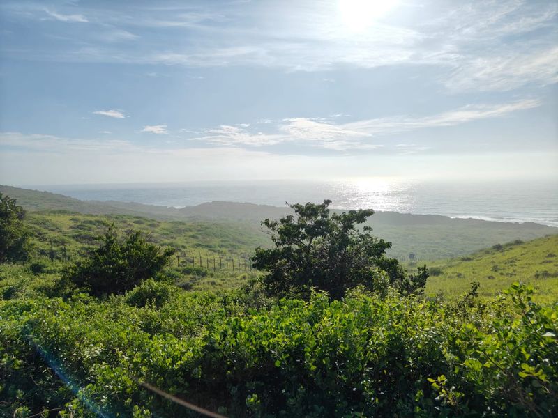 A scenic view of the coastal landscape featuring natural vegetation and ocean horizon, showcasing the property's natural surroundings.
