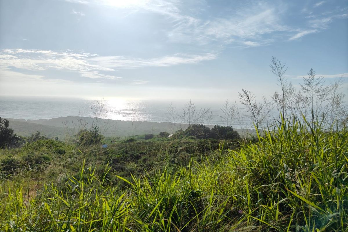 Seaton Estate: Exclusive Coastal Living on the KZN North Coast - Photo 5