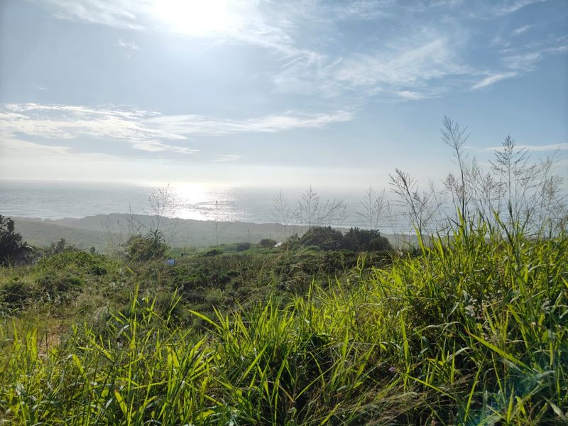 Seaton Estate: Exclusive Coastal Living on the KZN North Coast - Photo 5