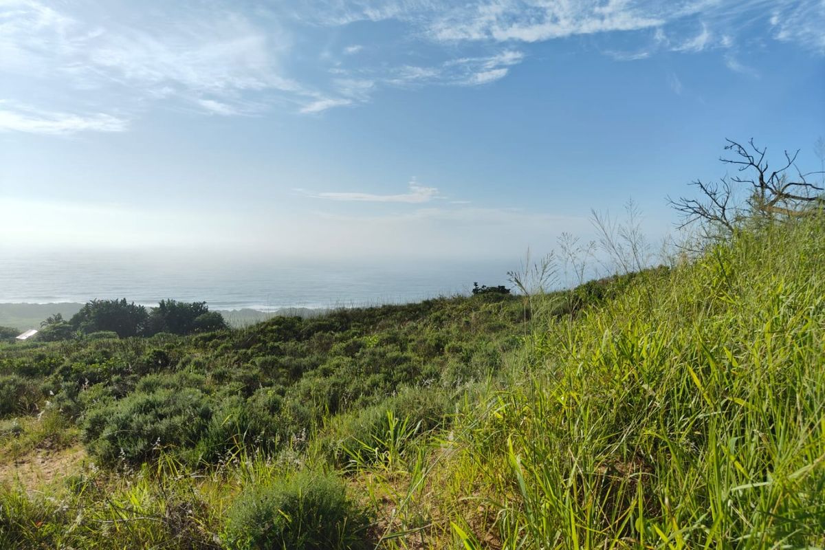 Seaton Estate: Exclusive Coastal Living on the KZN North Coast - Photo 3