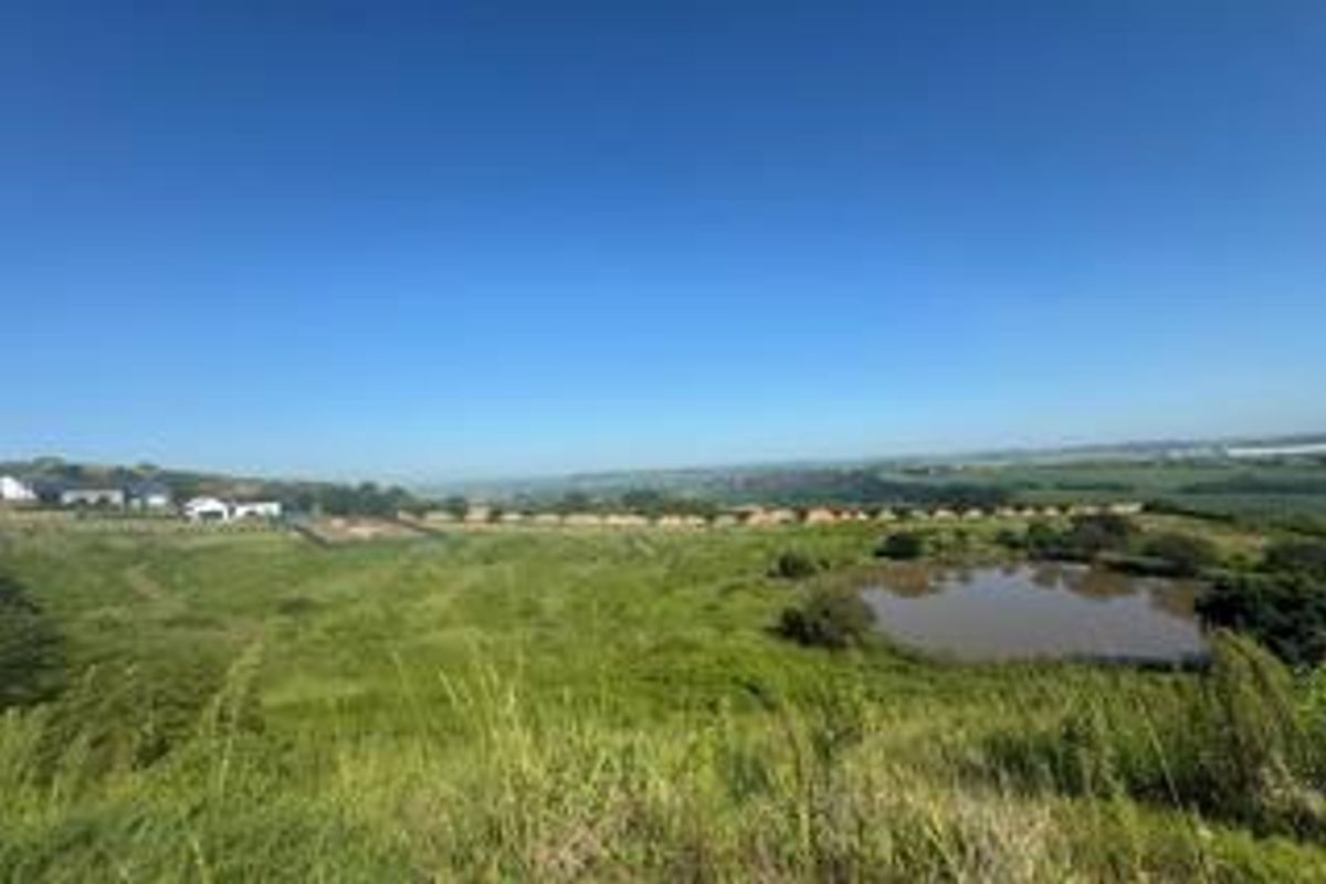 Build Your Dream Home in Springvale Country Estate - Photo 4