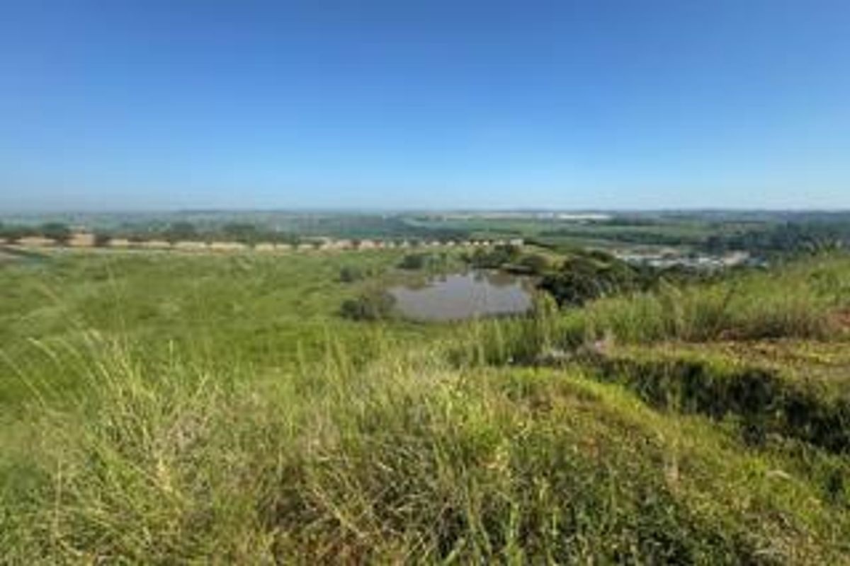 Build Your Dream Home in Springvale Country Estate - Photo 2