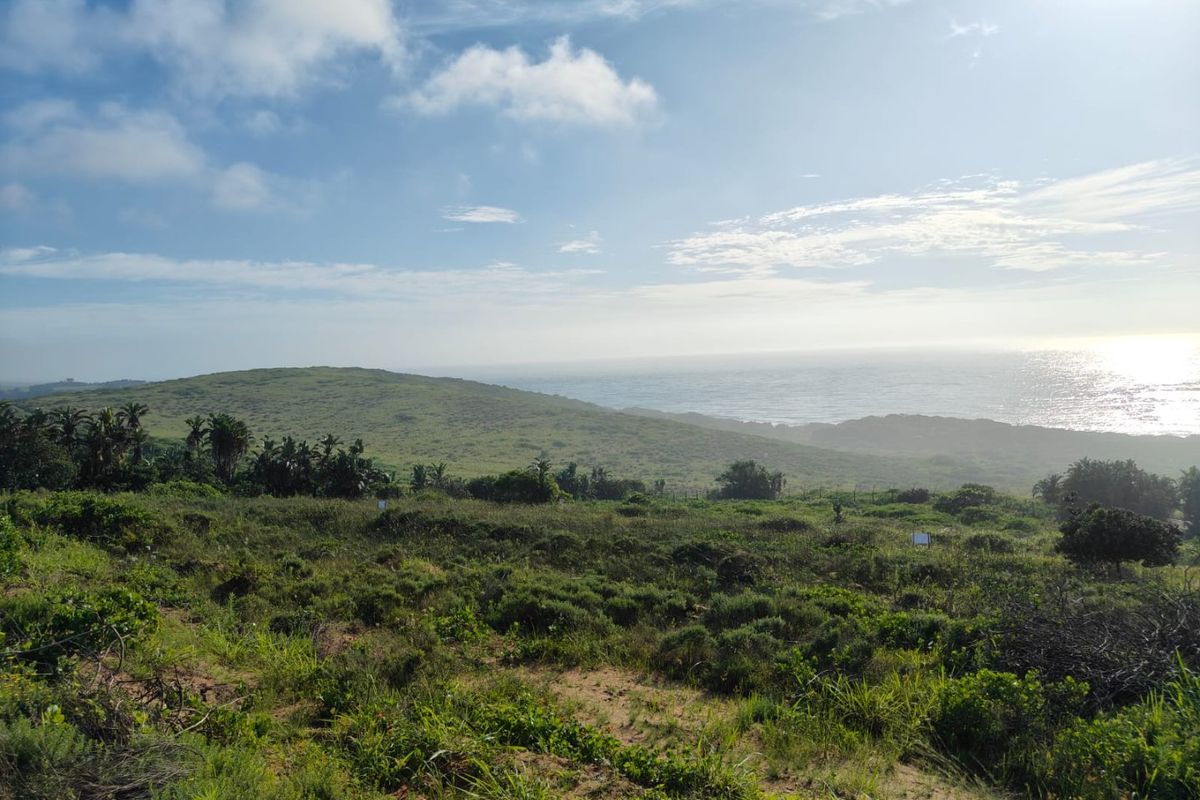 Seaton Estate: Exclusive Coastal Living on the KZN North Coast - Photo 3