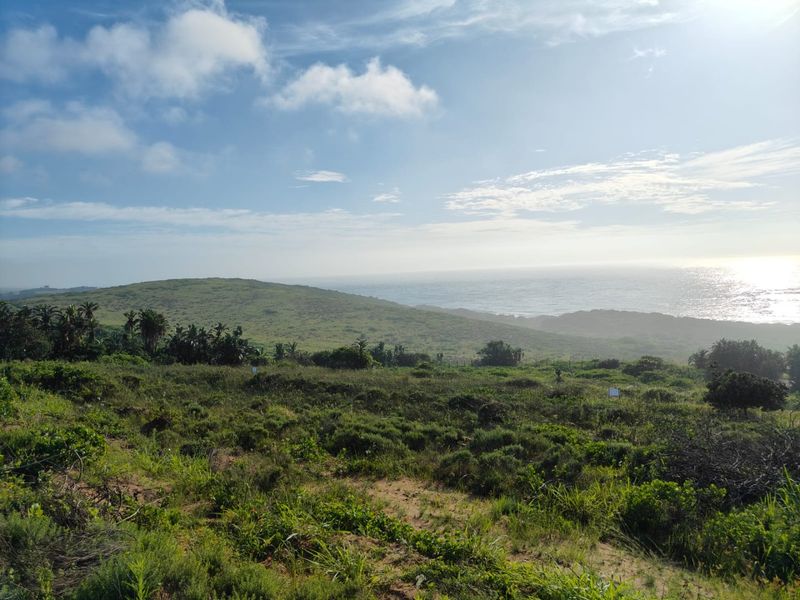 Seaton Estate: Exclusive Coastal Living on the KZN North Coast - Photo 3