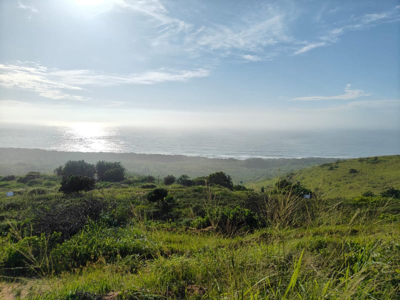 Seaton Estate: Exclusive Coastal Living on the KZN North Coast - Photo 2