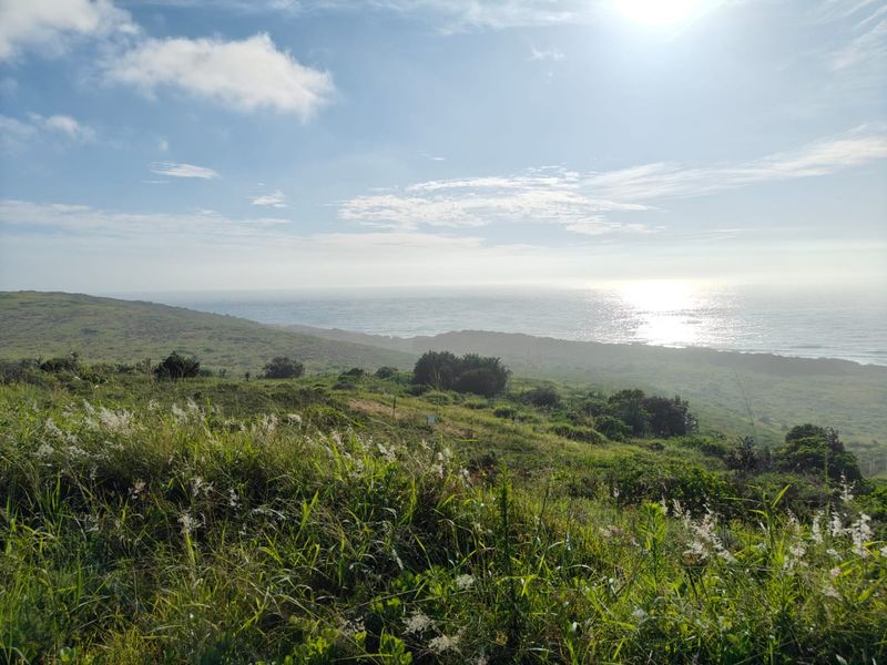 Seaton Estate: Exclusive Coastal Living on the KZN North Coast - Photo 2