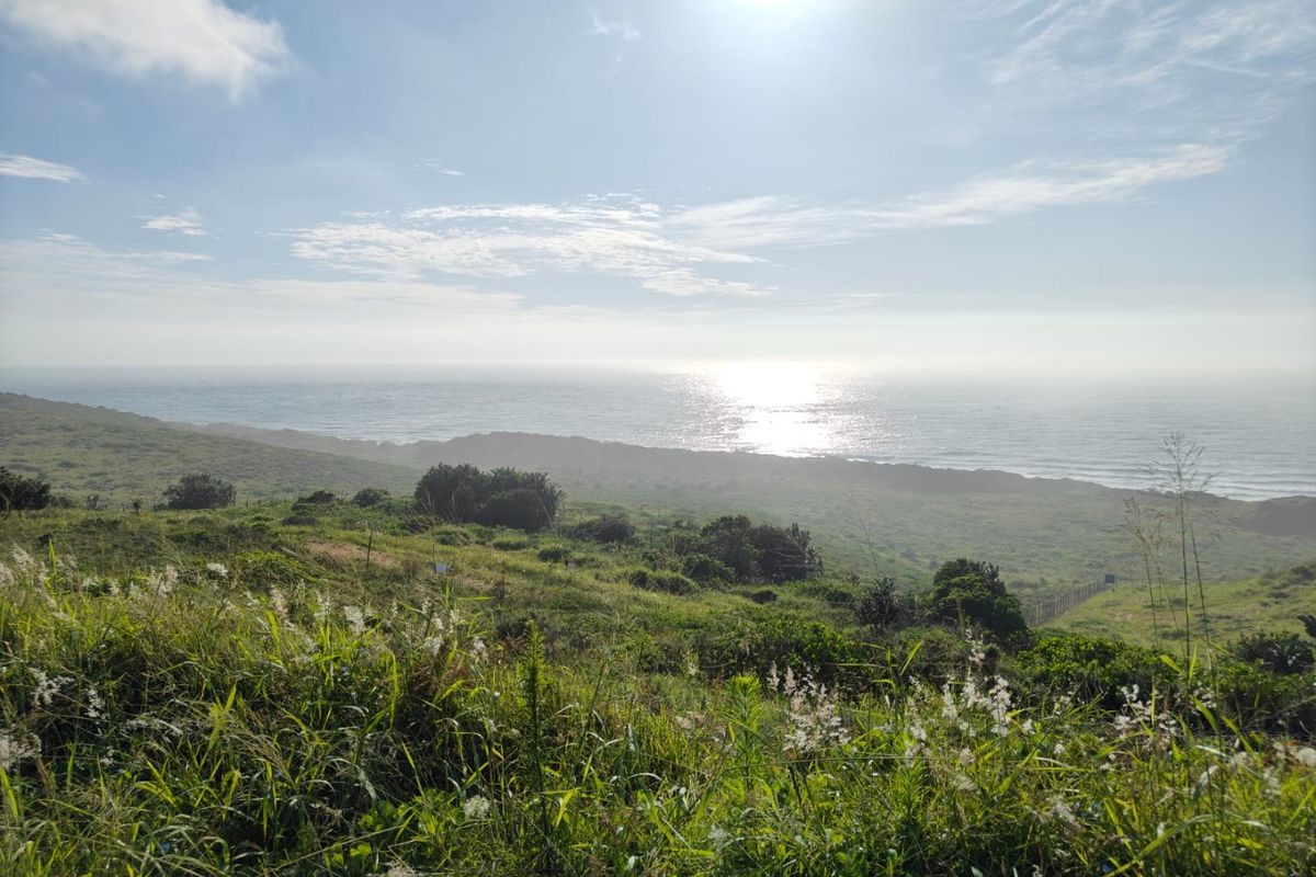 Seaton Estate: Exclusive Coastal Living on the KZN North Coast - Photo 3