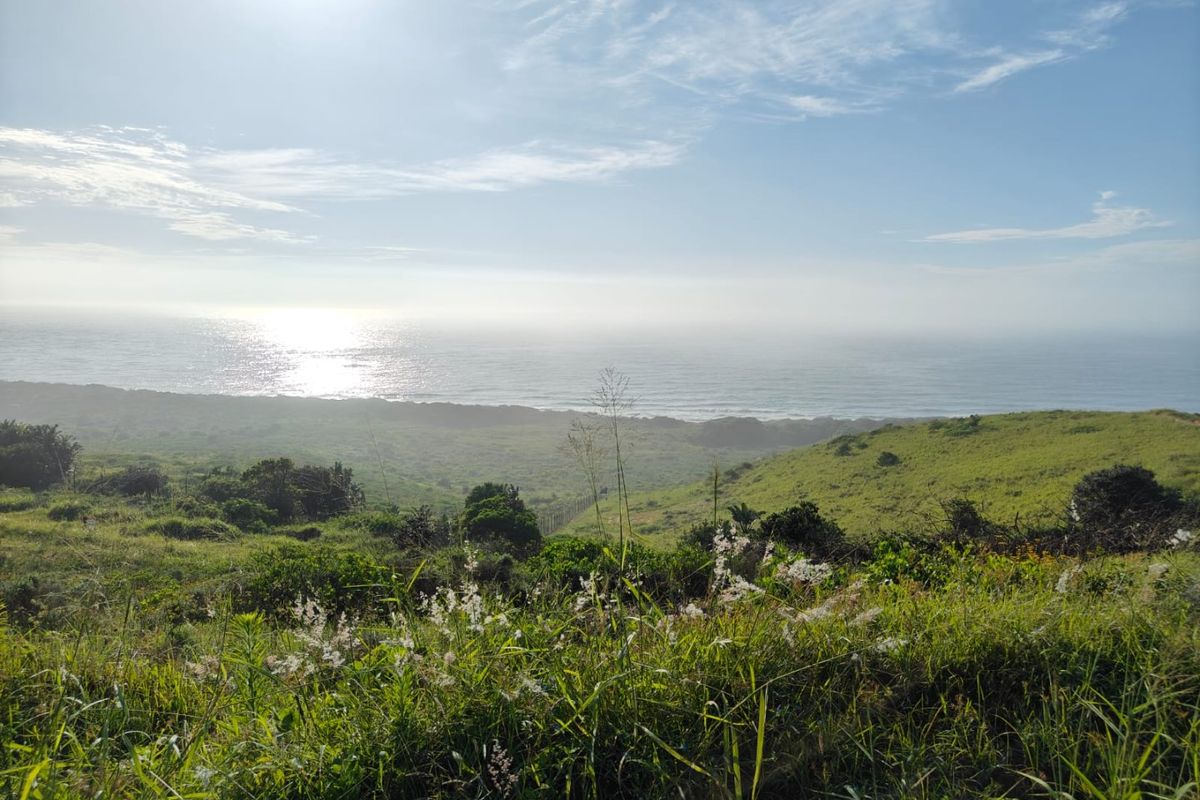 Seaton Estate: Exclusive Coastal Living on the KZN North Coast - Photo 4