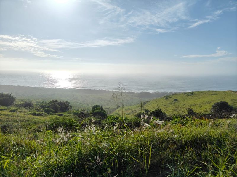 Seaton Estate: Exclusive Coastal Living on the KZN North Coast - Photo 4