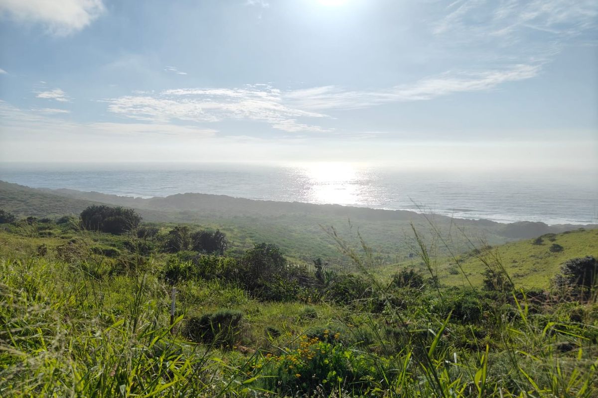 Seaton Estate: Exclusive Coastal Living on the KZN North Coast - Photo 3