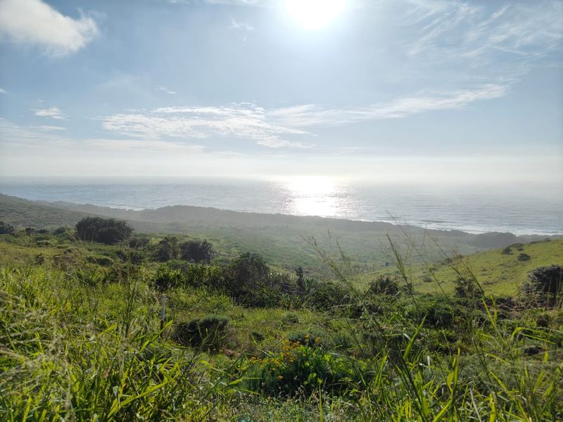 Seaton Estate: Exclusive Coastal Living on the KZN North Coast - Photo 3