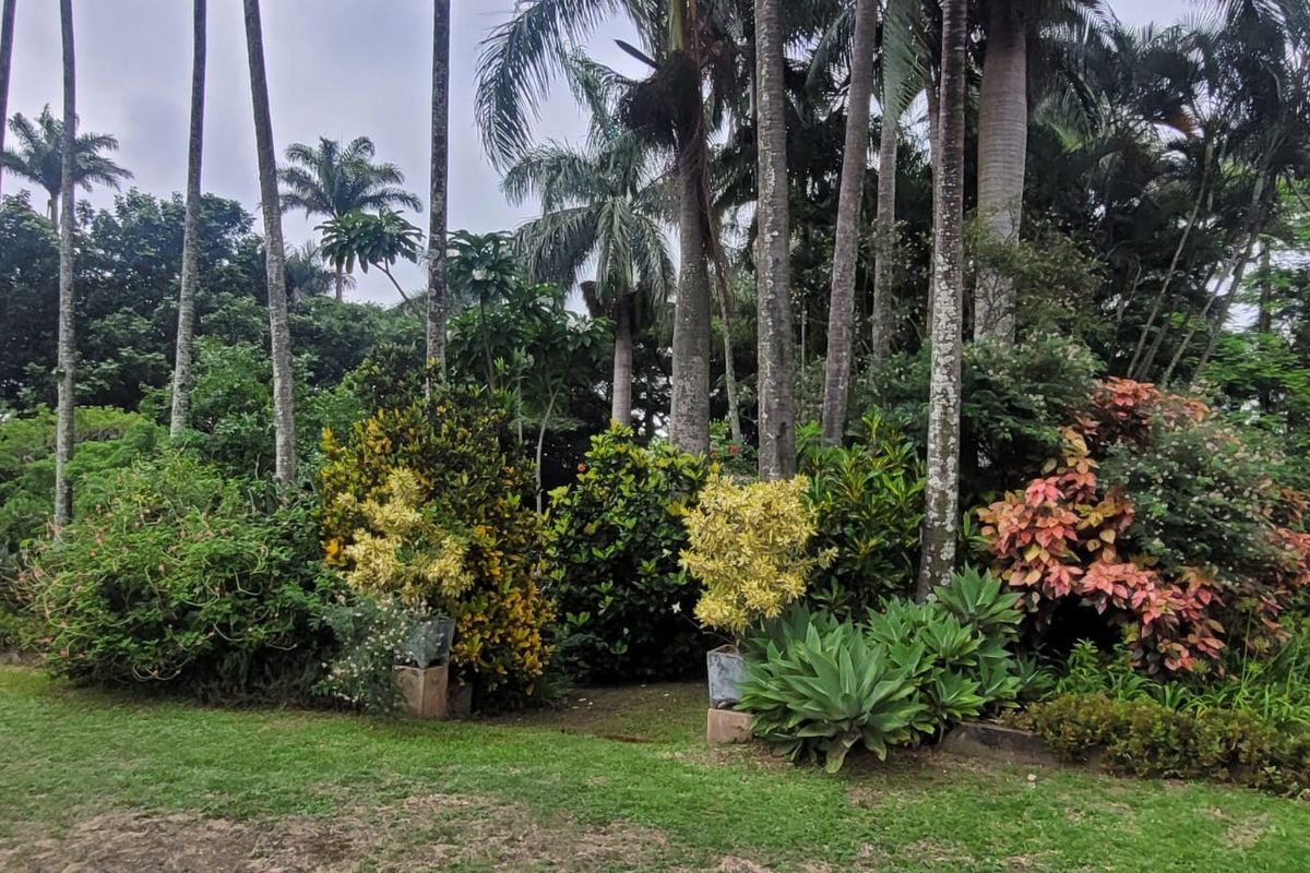 Charming 7.2ha Smallholding – A Nursery Enthusiast's Dream! - Photo 3