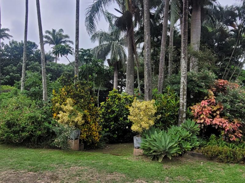 Charming 7.2ha Smallholding – A Nursery Enthusiast's Dream! - Photo 3