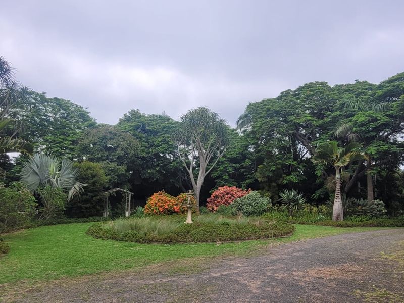 Charming 7.2ha Smallholding – A Nursery Enthusiast's Dream! - Photo 8