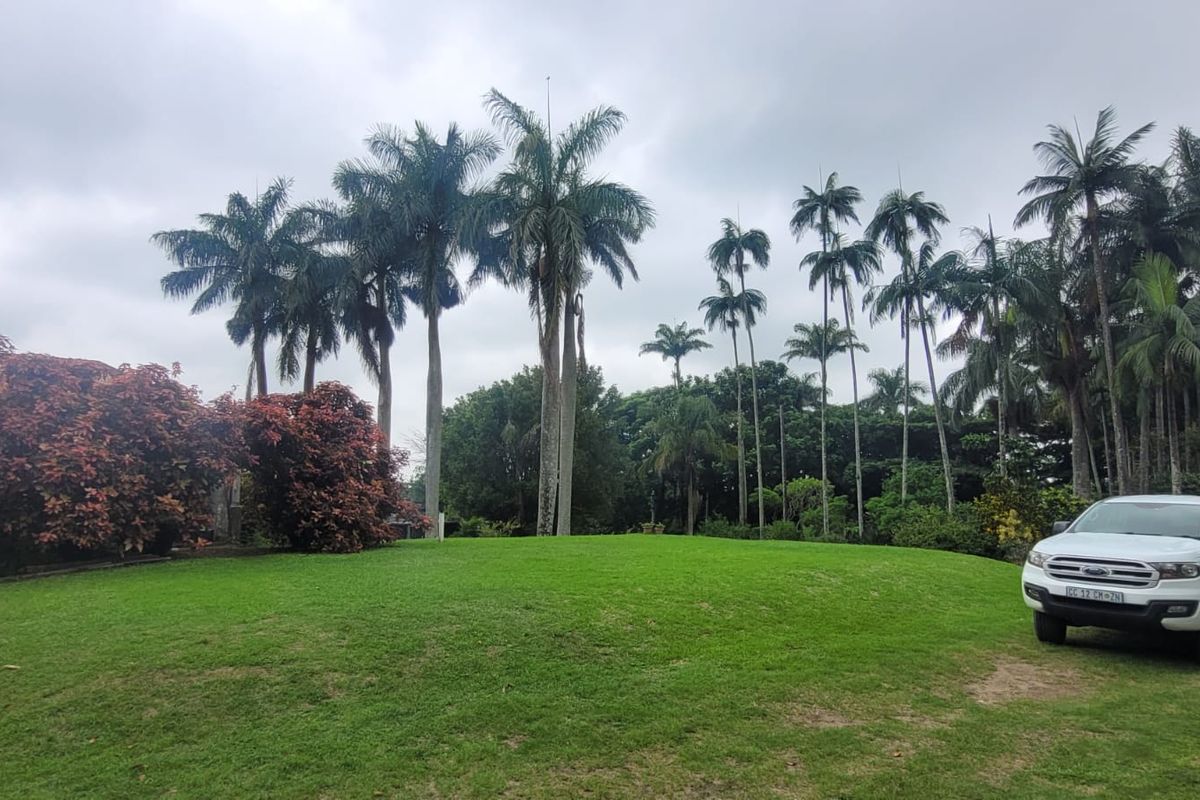 Charming 7.2ha Smallholding – A Nursery Enthusiast's Dream! - Photo 4