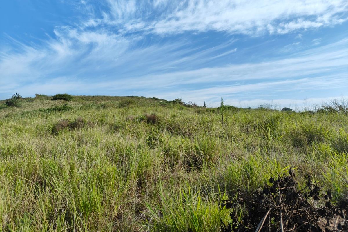 Seaton Estate: Exclusive Coastal Living on the KZN North Coast - Photo 2