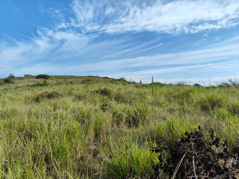 Seaton Estate: Exclusive Coastal Living on the KZN North Coast - Photo 2