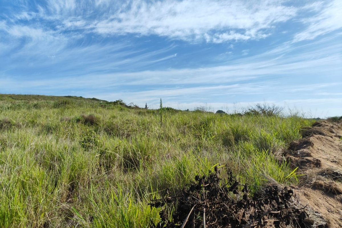 Seaton Estate: Exclusive Coastal Living on the KZN North Coast - Photo 3